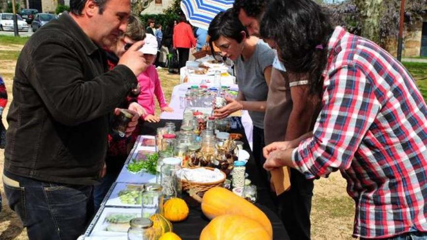 La mesa de intercambio de semillas estaba en el Campo da Feira de O Mosteiro.  // Iñaki Abella