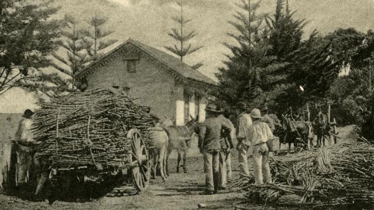 La industria azucarera fue muy importante para la propagación de los apellidos portugueses