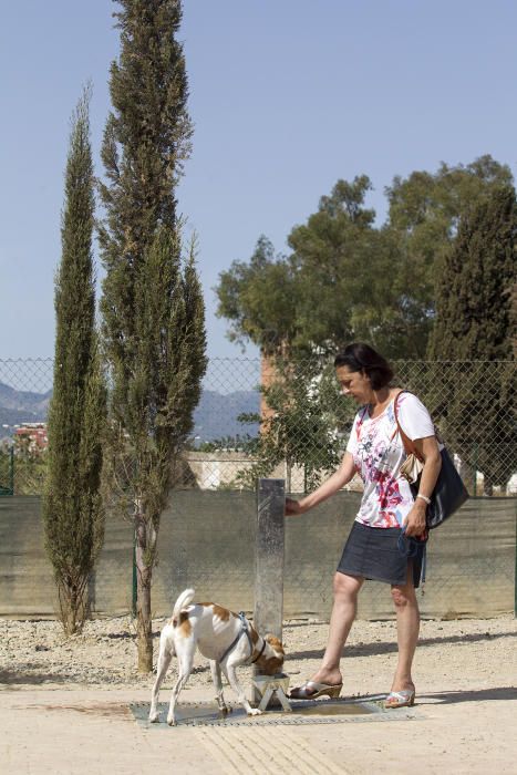 Parque canino de San Rafael