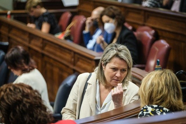 Segunda jornada del pleno en el Parlamento de Canarias, 27/04/2022