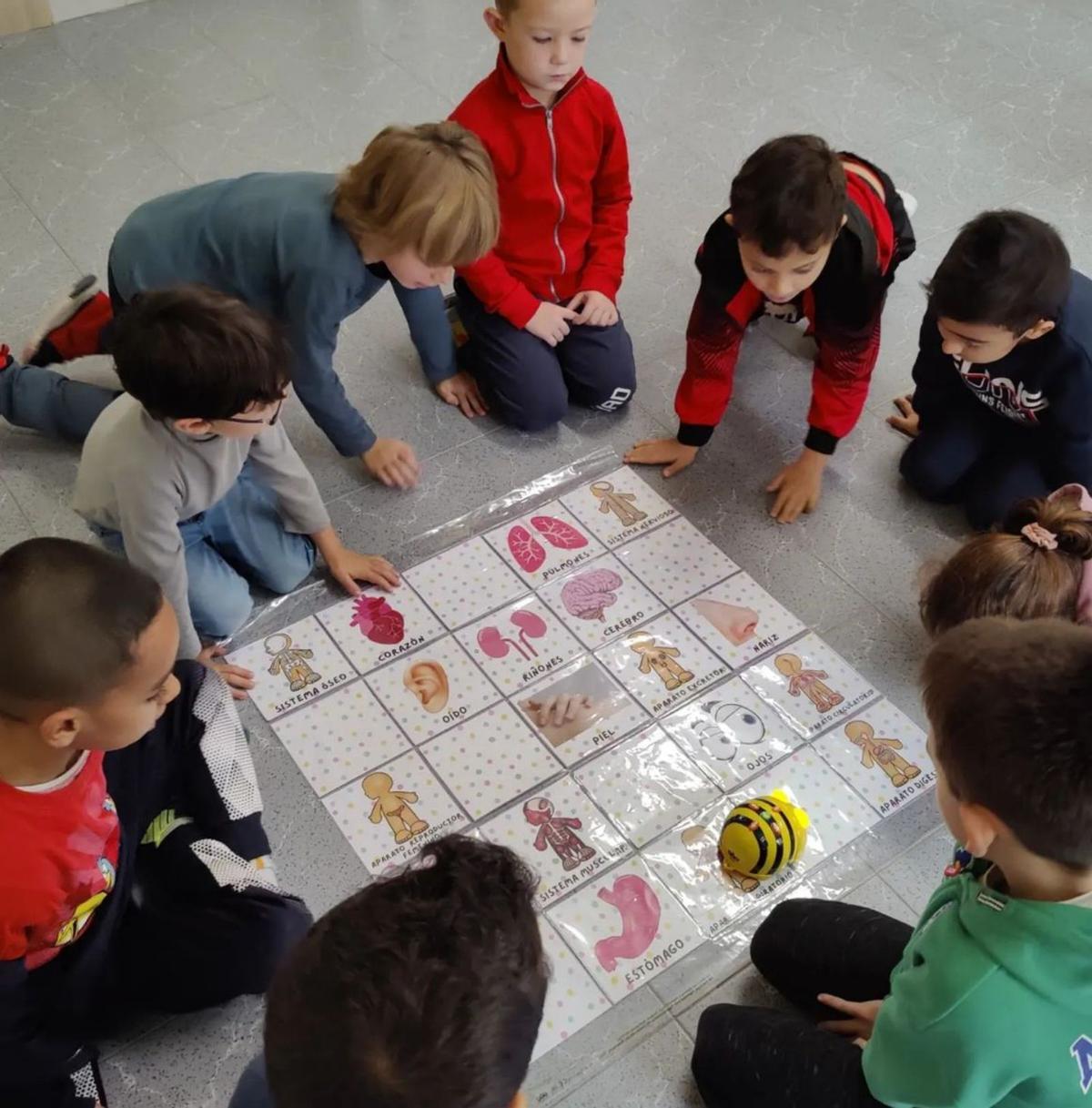 Los escolares están realizando un taller de robótica creando su ‘Bee-bot’. |