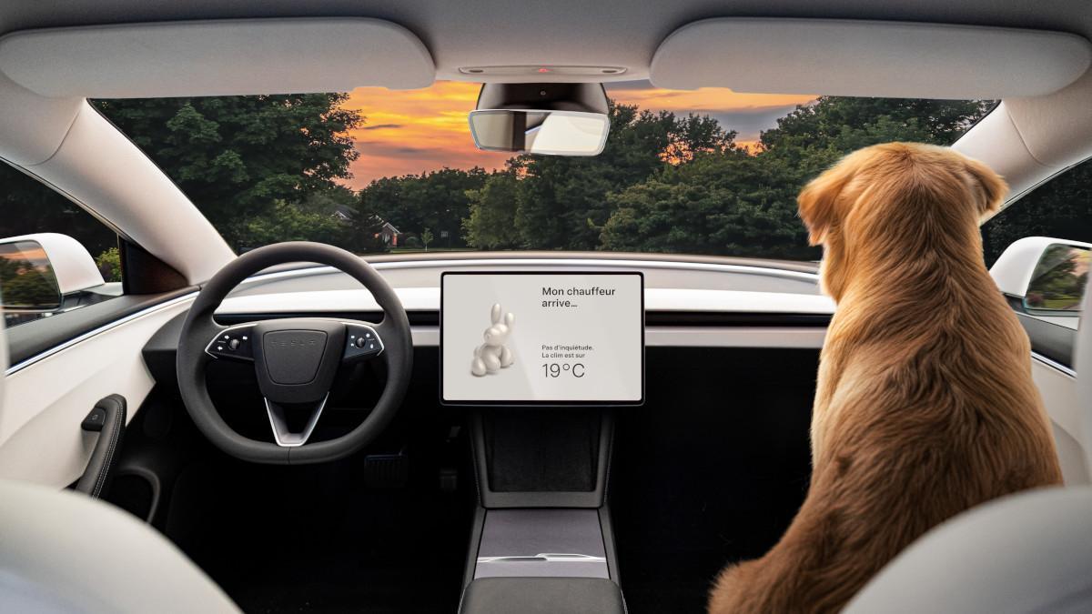 Interior del Tesla Model 3