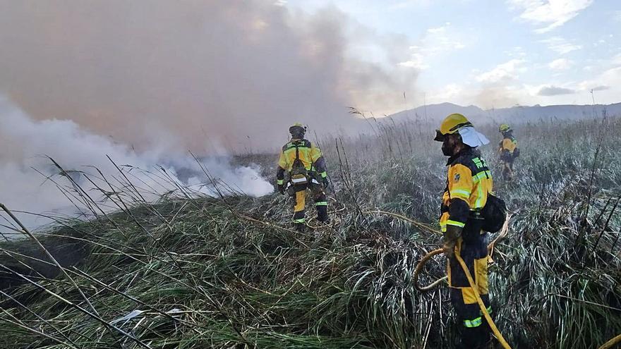 S’Albufera se gestiona con el Plan Rector que aprobó Matas y caducó en el año 2003