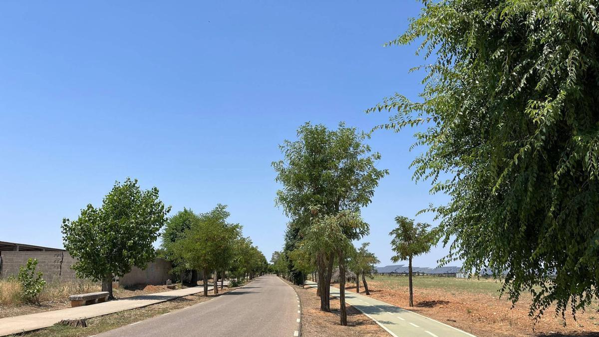 Carretera del Cementerio, Toro