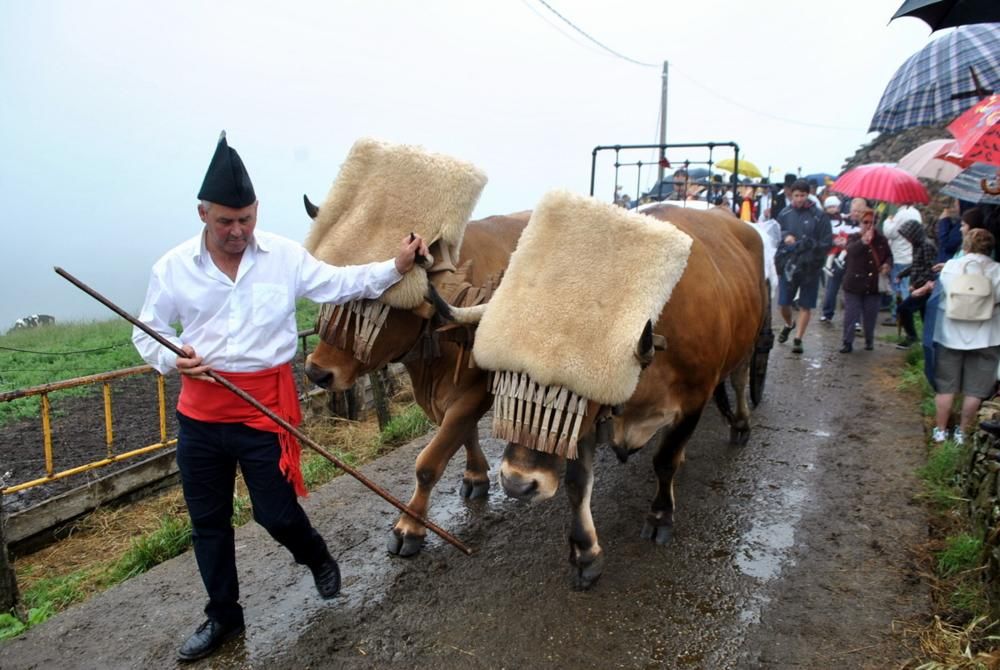 Boda vaqueira en la braña de Aristébano