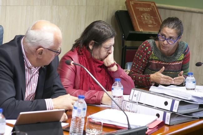 Pleno en el Ayuntamiento de La Oliva (25/02/2016)