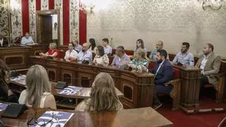 La ubicación de los concejales de Vox en el Pleno de Alicante, primer frente entre la izquierda y Barcala