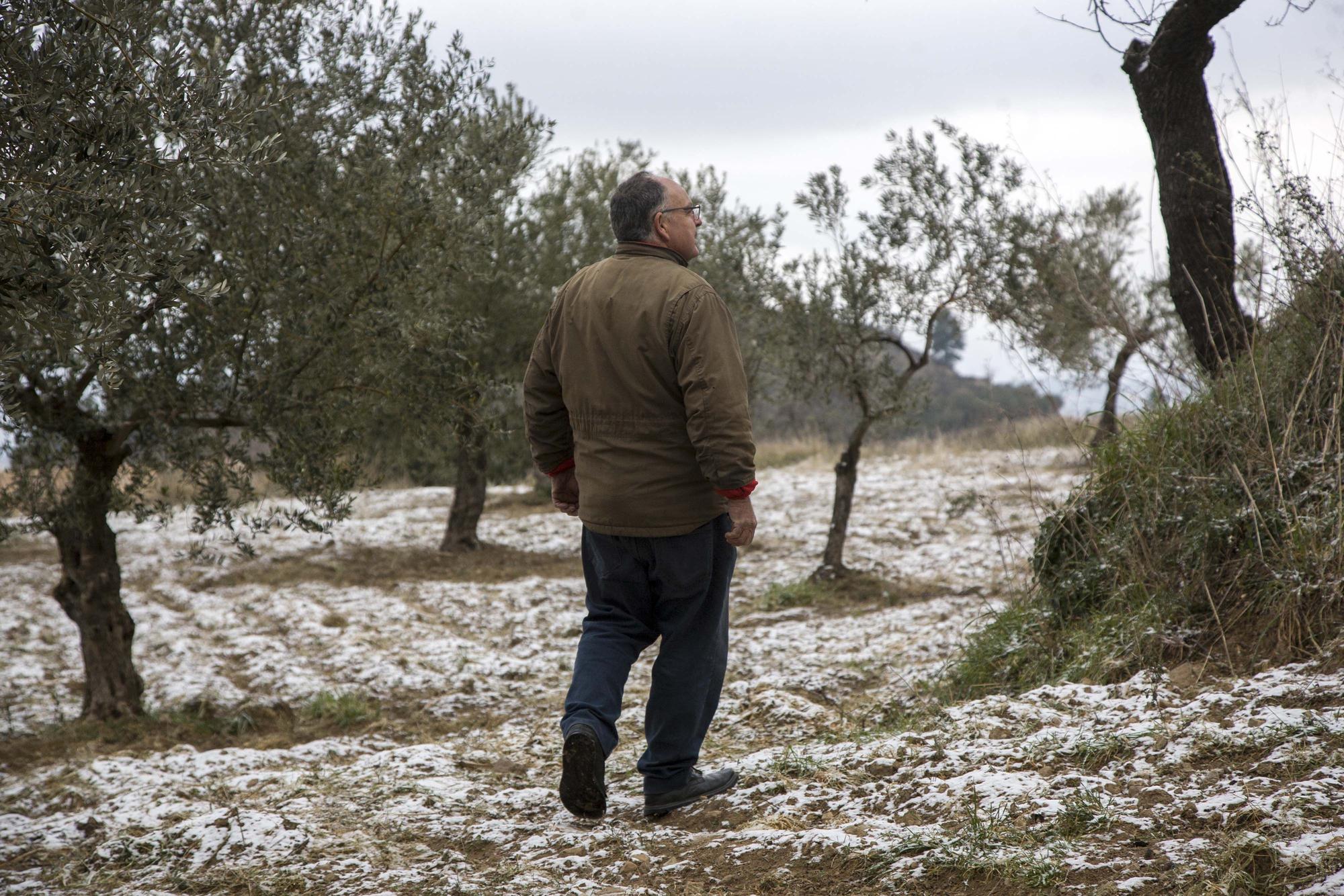 Nevadas débiles en los puntos más altos de l'Alcoià y El Comtat