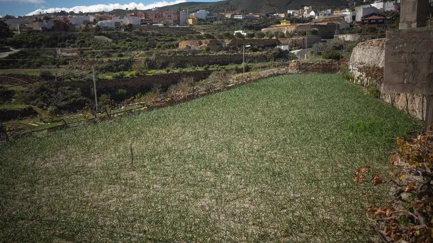 El barrio de Vicácaro desde la huerta de Pepe y Ángela