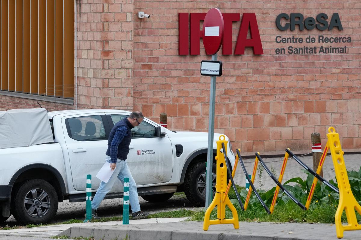 GRAFCAT5350. CERDANYOLA DEL VALLÈS (BARCELONA) (ESPAÑA), 04/12/2025.- Un vehículo descarga muestras de origen desconocido en la entrada del Centro de Investigación en Sanidad Animal donde se llevan las muestras de jabalís encontrados cartel para certificar la presencia de la peste porcina hallada en jabalíes autóctonos de la zona esta semana,este jueves en que la Unión Europea (UE) ha ampliado de 64 a 91 los municipios de la zona afectada por el brote de peste porcina africana, que estarán sometidos a restricciones hasta el 28 de febrero de 2026, y ha dejado fuera de este perímetro las comarcas con mayor peso del sector porcino, como Osona, Bages y Segrià. EFE/ Enric Fontcuberta