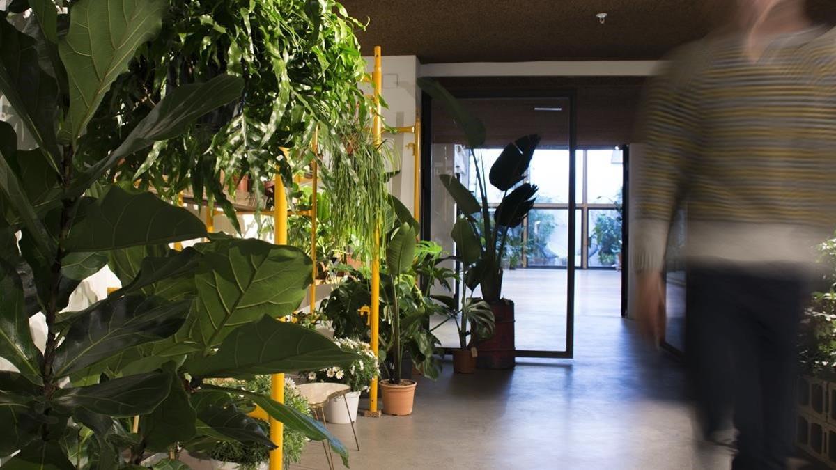 Plantas, diseño y arquitectura