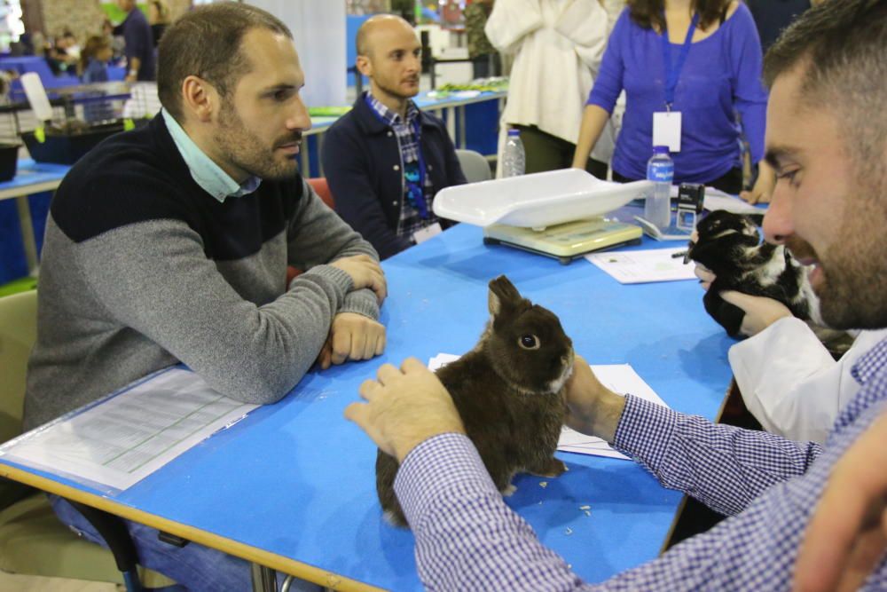 6º Salón del Animal de Compañía Mi Mascota