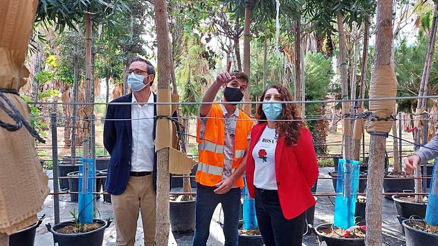 Hila y Pastor, durante la visita al vivero. | AYUNTAMIENTO DE PALMA