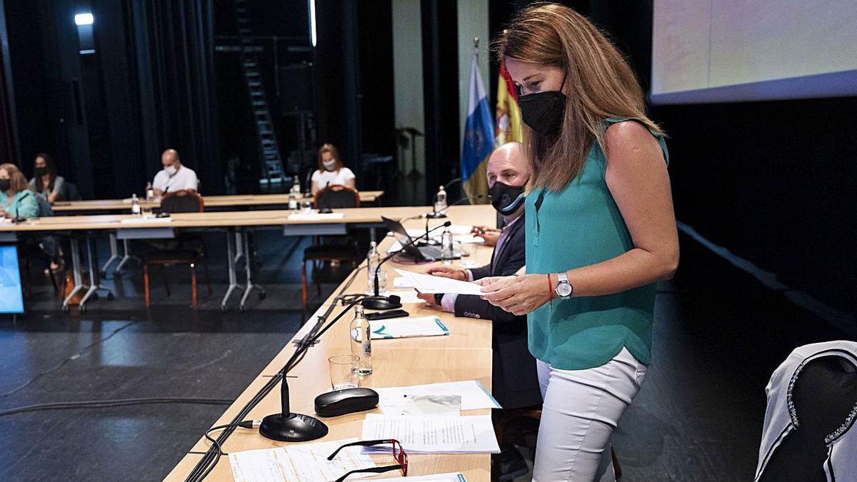 La consejera insular de Economía y Hacienda, Lola García, antes del inicio del pleno, ayer. | | FUSELLI