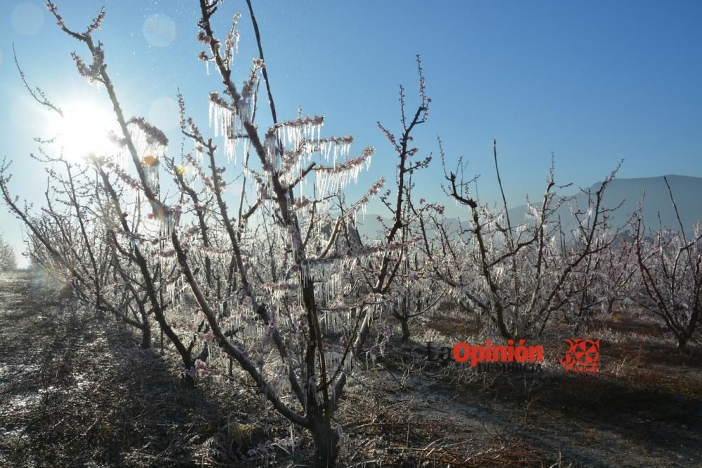 Helada en Cieza 9 de febrero de 2018