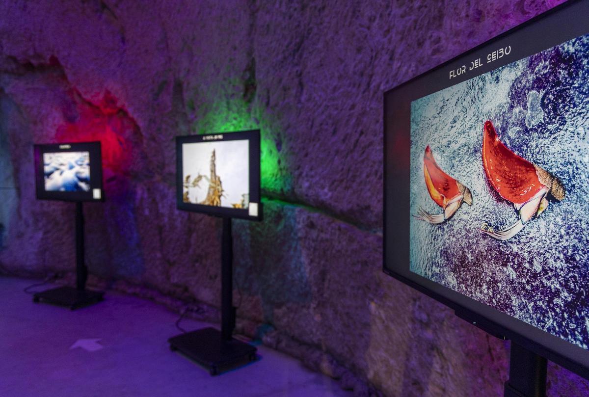 Imagen de la exposición