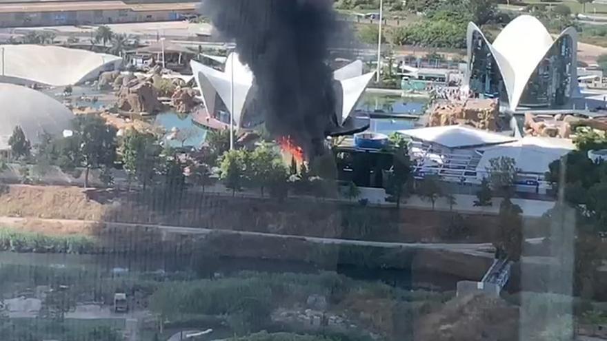 Incendio en el Oceanogràfic