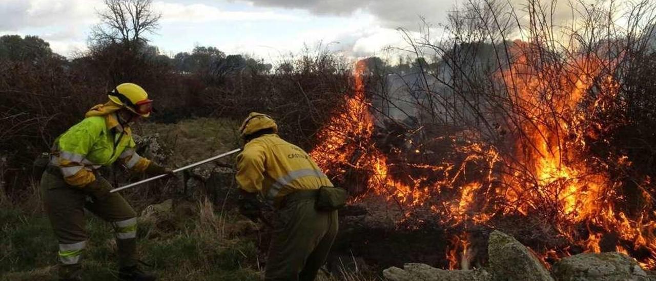 Efectivos de incendios sofocan un fuego en el monte.