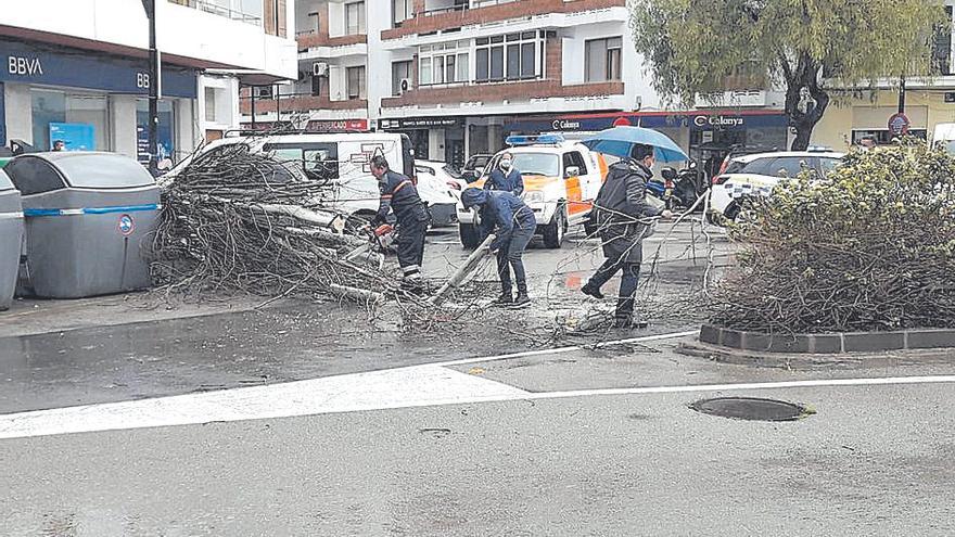 Los bomberos retiran el árbol.