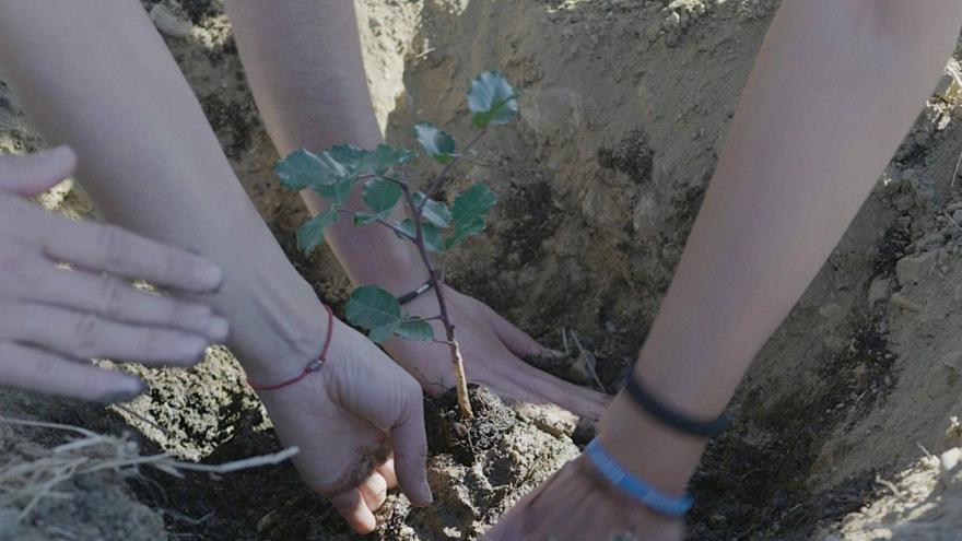 La lucha por el bosque urbano de Málaga ya tiene su documental