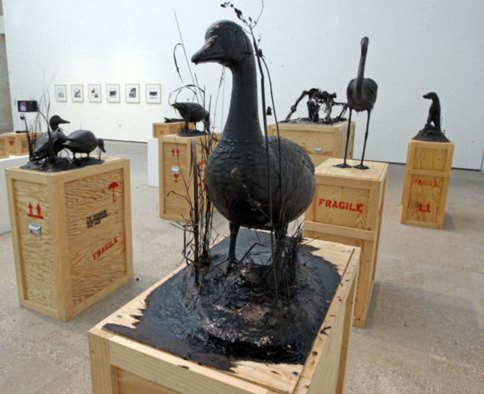 Piezas de Mark Dion para “La ballena negra” (2012) 