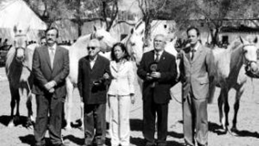 El caballo de pura raza española triunfa en la feria