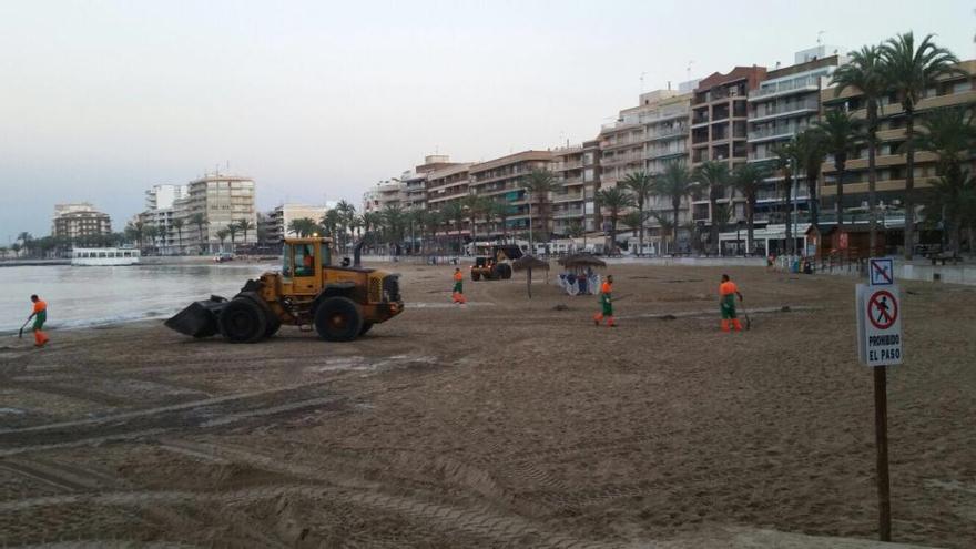 Tareas de limpieza a primera hora en la playa del Cura de Torrevieja