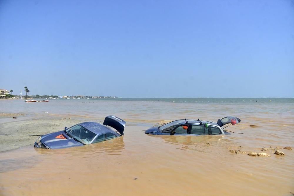 Lunes de limpieza en Los Alcázares y Los Urrutias