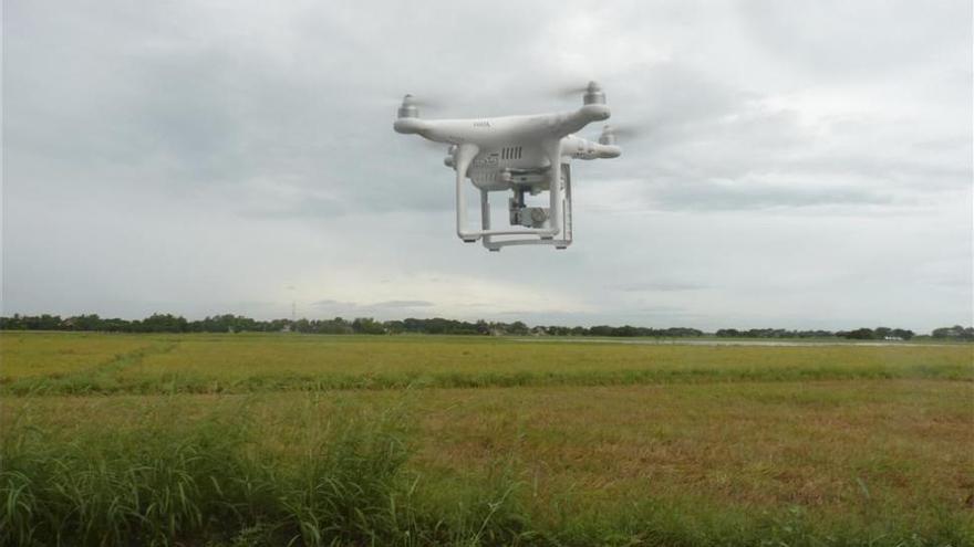 Plasencia usará drones para evitar los incendios intencionados de cada verano