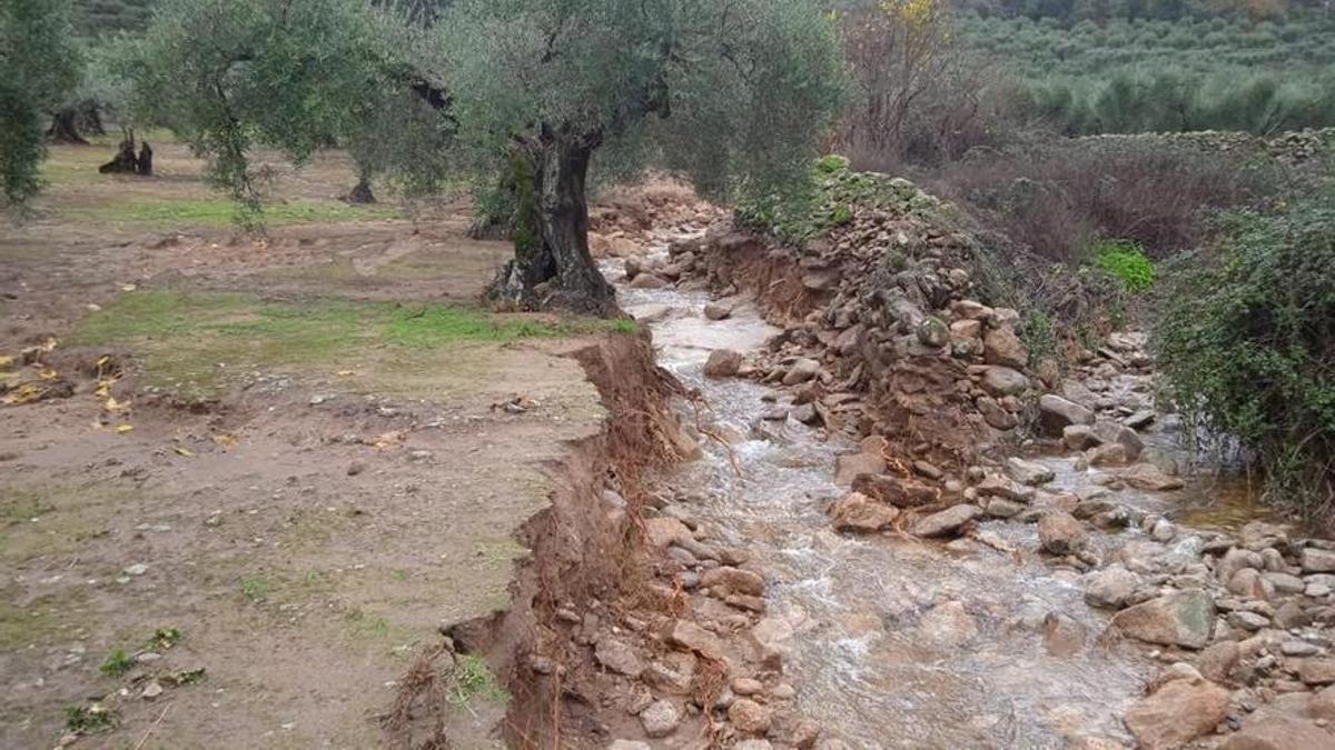 Un camino de Montánchez intransitable por la lluvia.