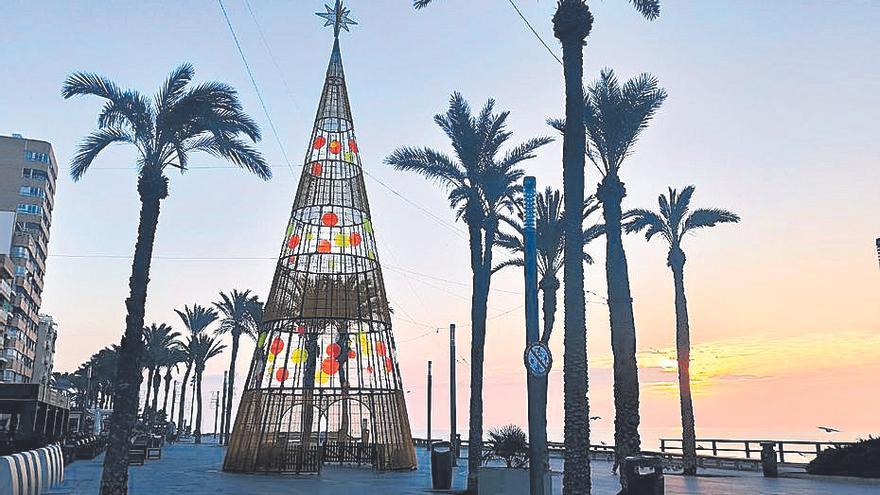 Árbol especial de Navidad levantado en el paseo de Juan Aparicio de Torrevieja y que se iluminará junto a todo el alumbrado especial de fiestas el 1 de diciembre