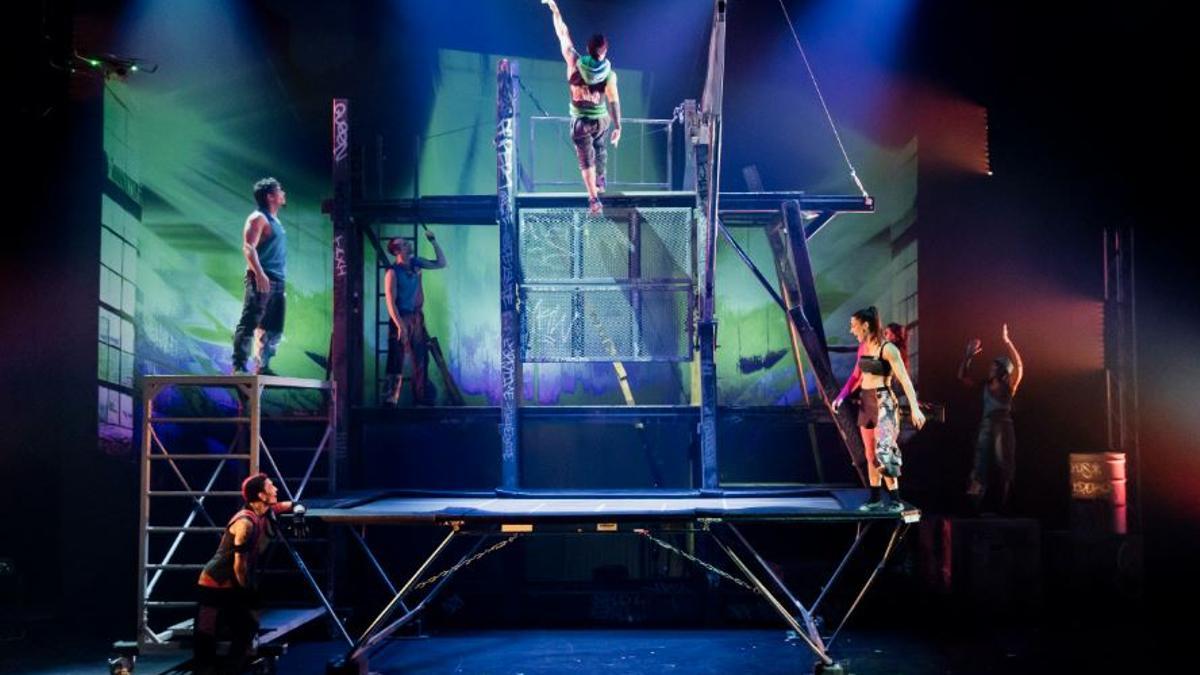 El número de llits elàstics de «ID Evolution».