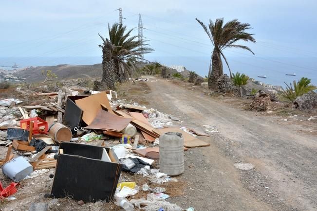 PALMERAL ENFERMO EN EL LAZO Y EL FONDILLO