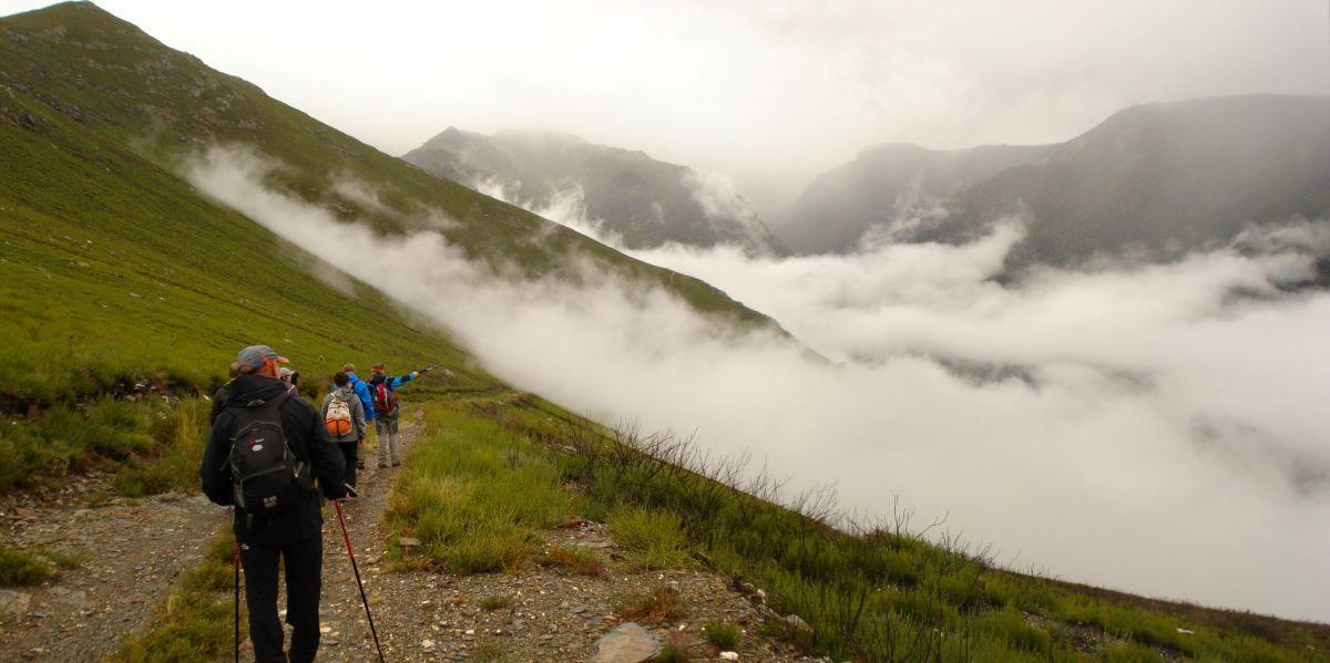 Las rutas que llevan a este bosque son solo aptas para expertos y se recomienda hacerlas en grupo.