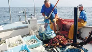 Los pescadores de Mallorca se suman a la huelga nacional contra la propuesta de Europa de reducir un 79% los días de pesca en el Mediterráneo