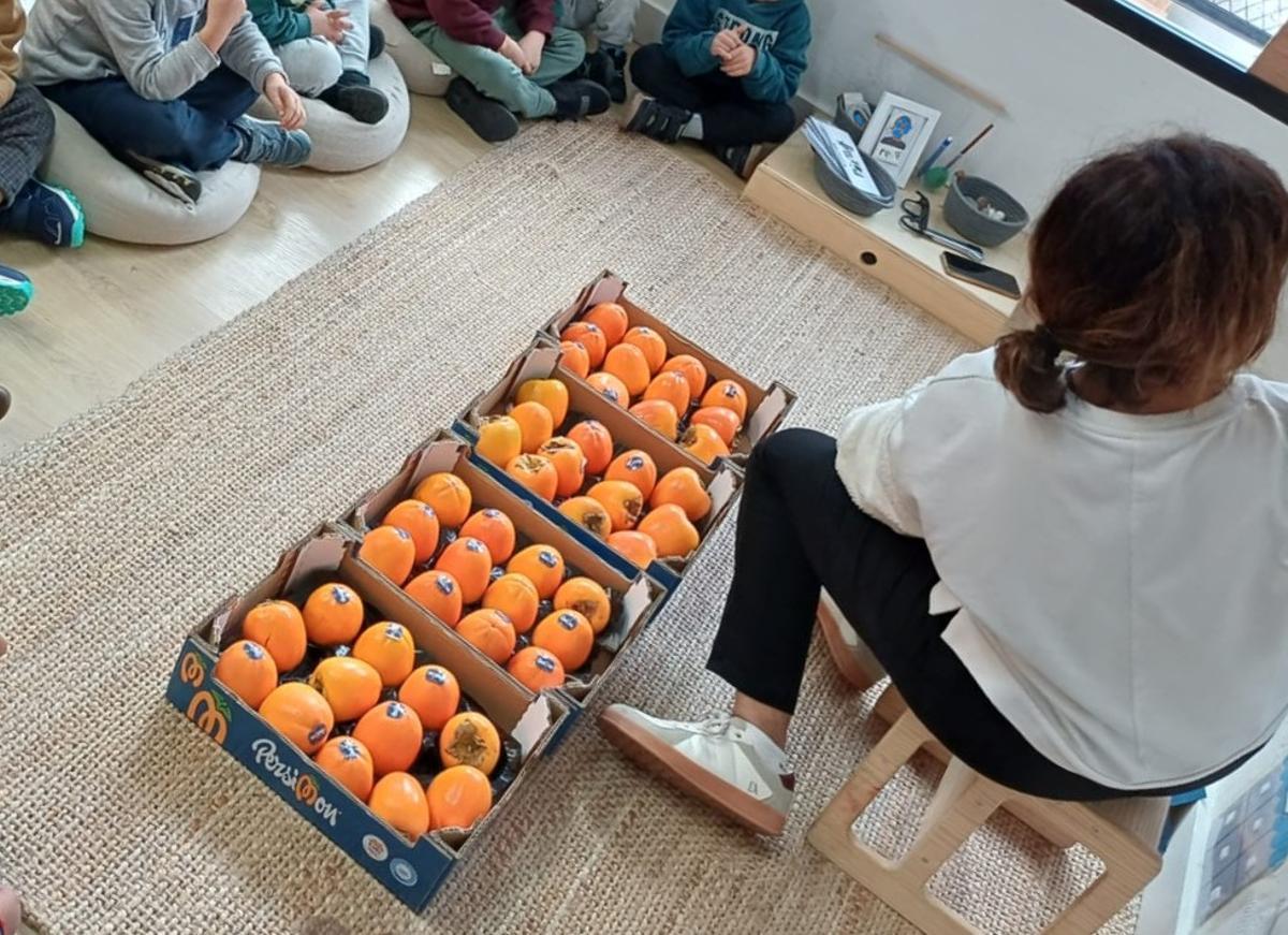 Els caquis de la Ribera