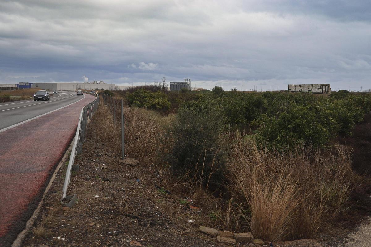 Zona en conflicto que ocupará el corredor territorial y biológica junto a la futura gigafactoría de Sagunt.