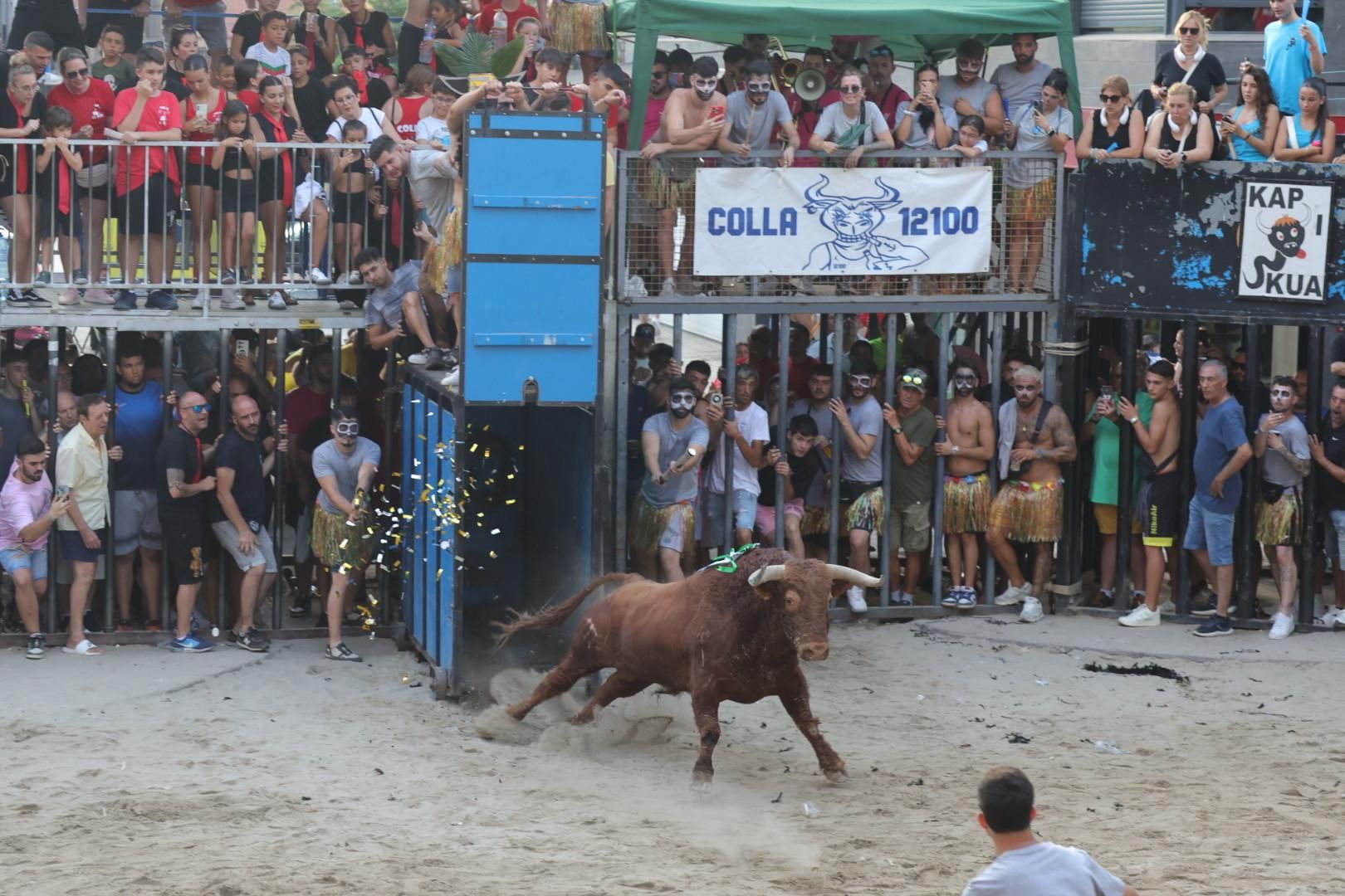 Galería | Intensa jornada taurina en Sant Pere 2025