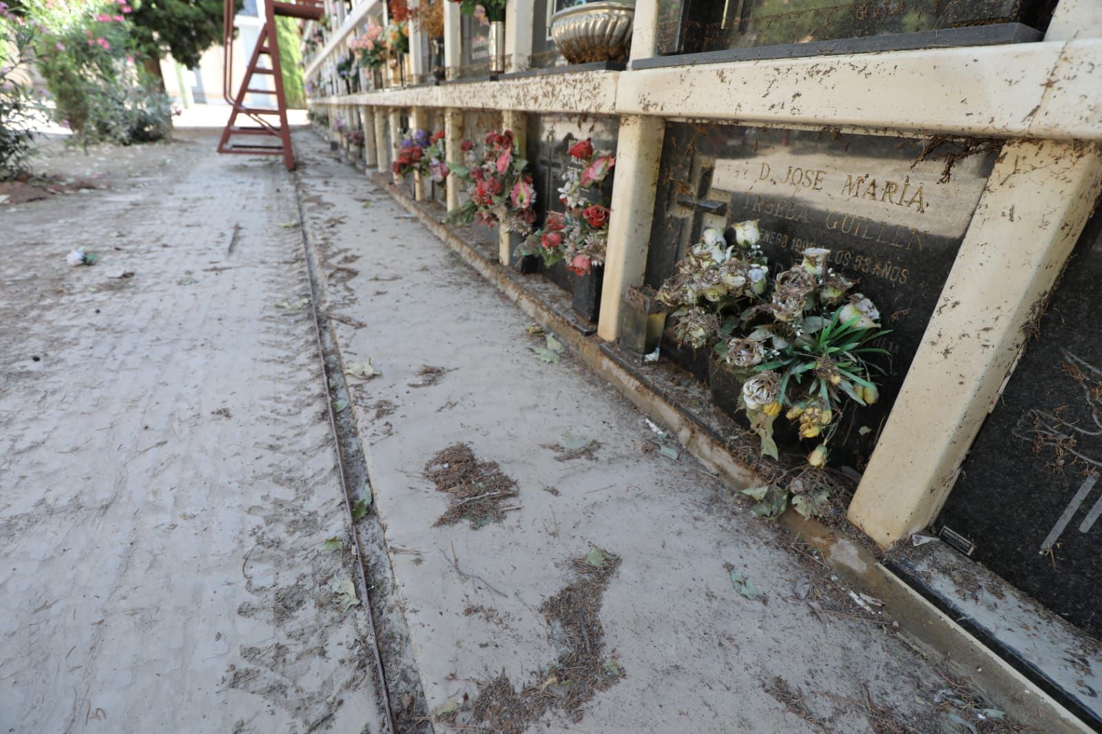 Fotogalería | Grandes daños en el cementerio de Torrero por la tormenta del jueves