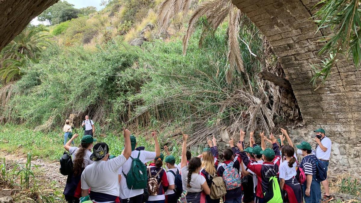 Ruta senderista con una treintena de escolares