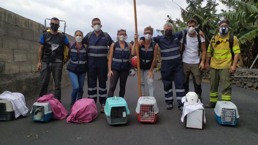 Veterinarios bajo el volcán