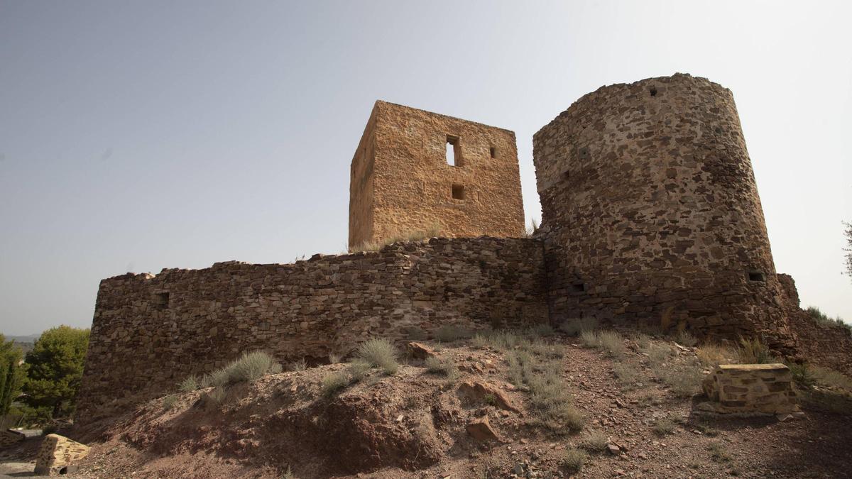 Vista del Castillo de Torres Torres.