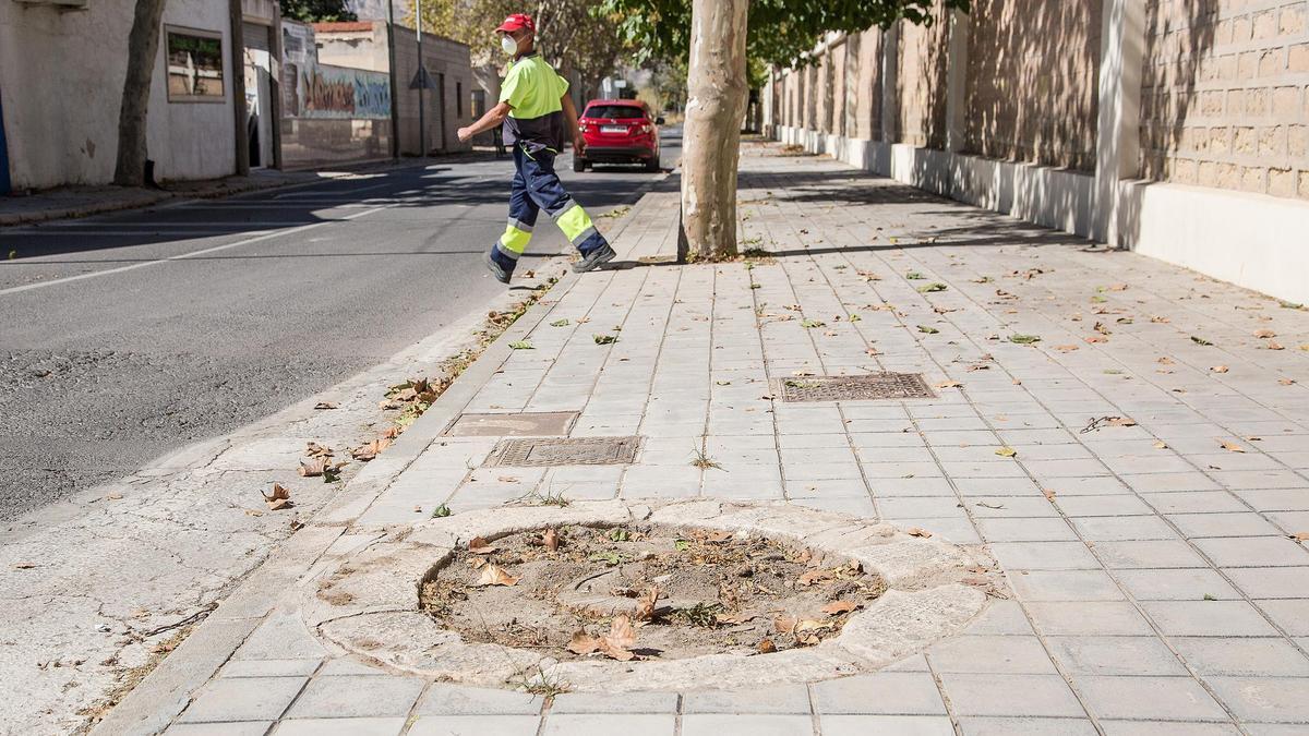 Espacios en la calzada donde hubo árboles, ahora vacíos, en los barrios de San Blas, en las proximidades de la Ciudad de la Luz y en los alrededores del Cementerio.