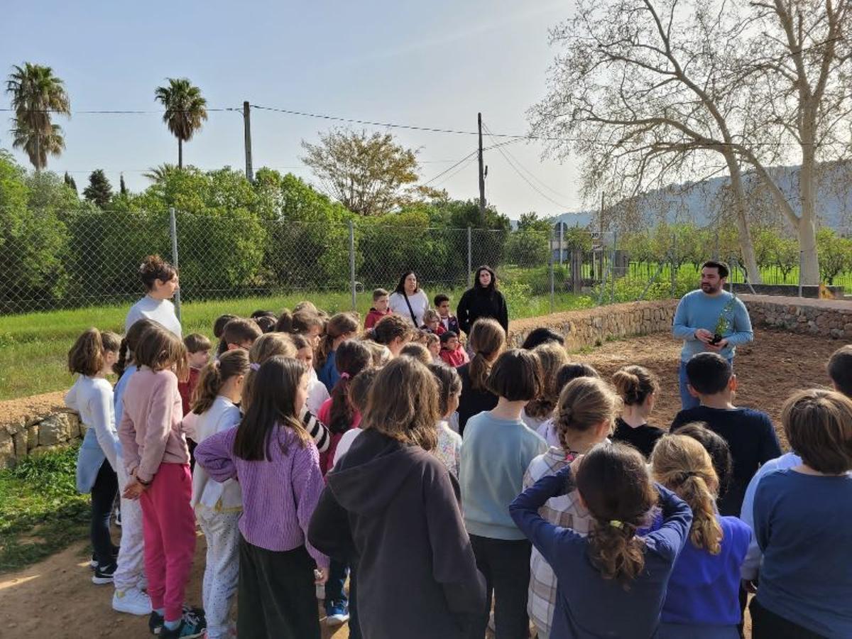 Han participado en la iniciativa alumnos de dos centros educativos.