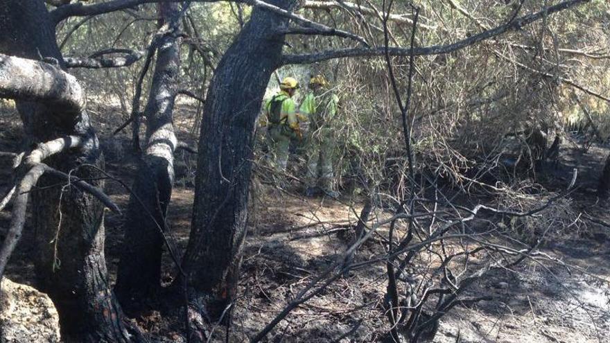 Imagen de la intervención de la brigada forestal en el incendio de San Miguel de Salinas