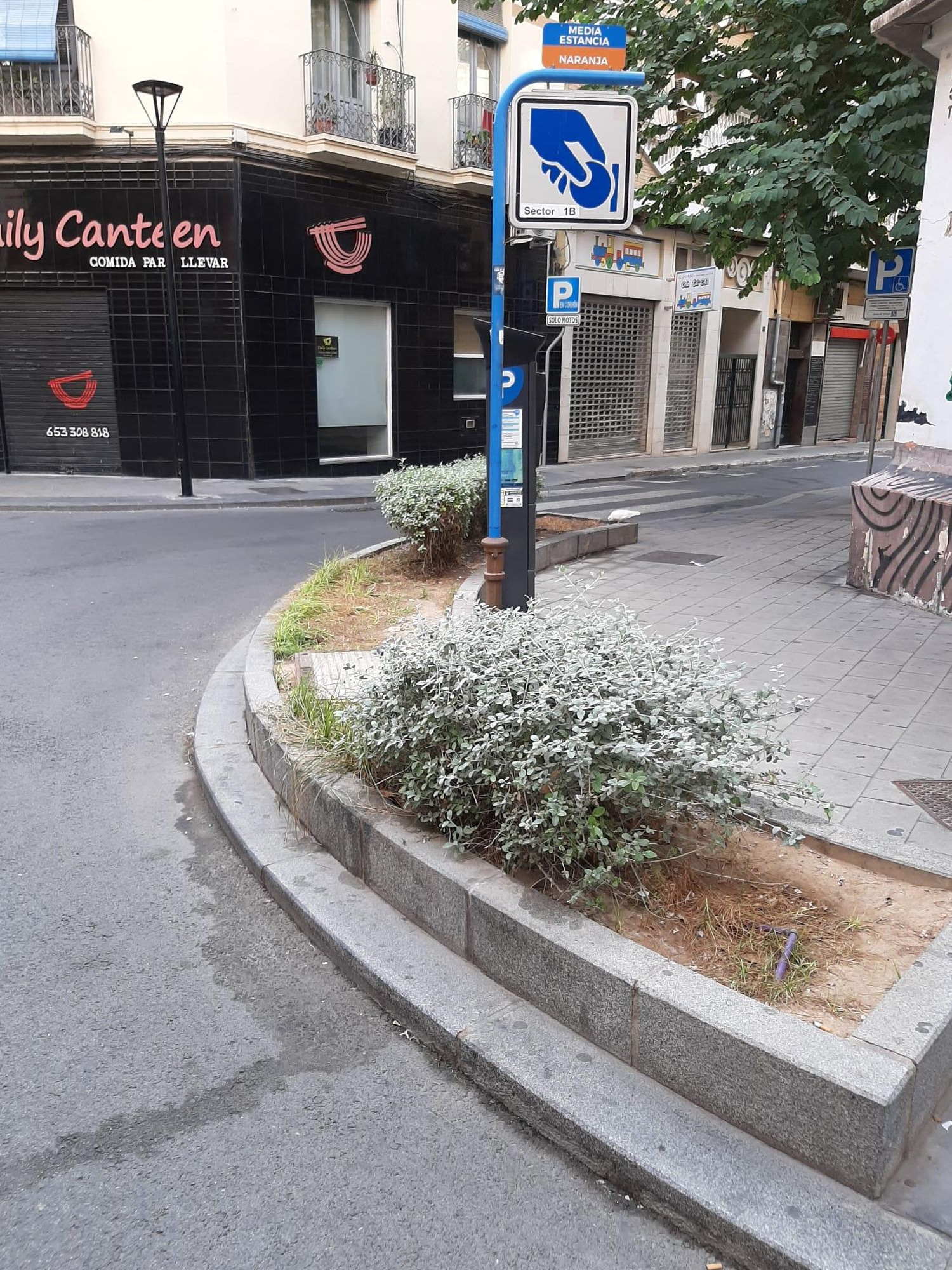 Aspecto de una calle del centro de Alicante