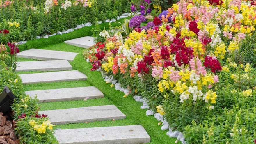 Prepara tu jardín para esta primavera.