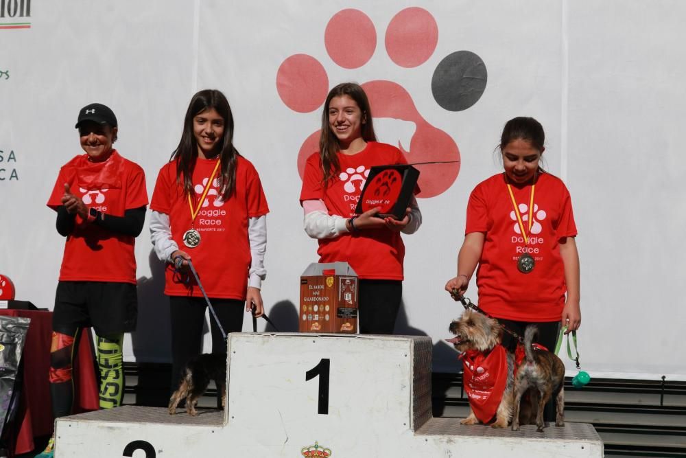 Así ha sido la Doggie Race en Benavente