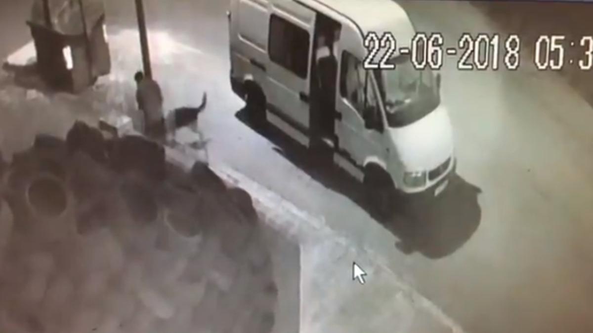 Abandona un perro en Tarragona