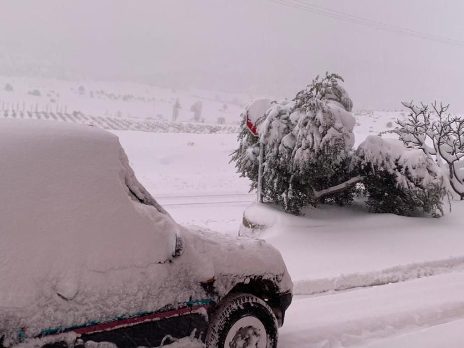 La nieve deja las primeras estampas blancas del 2020 en la Región de Murcia